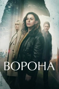 Ворона